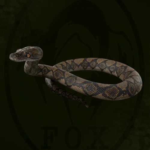 メタルギアデルタ_アミメニシキヘビ_アイコン